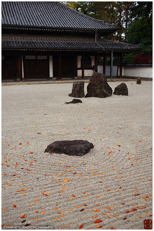 Fallen autumn leaves on the large rock garden of Rinsen-ji temple, Kyoto, Japan