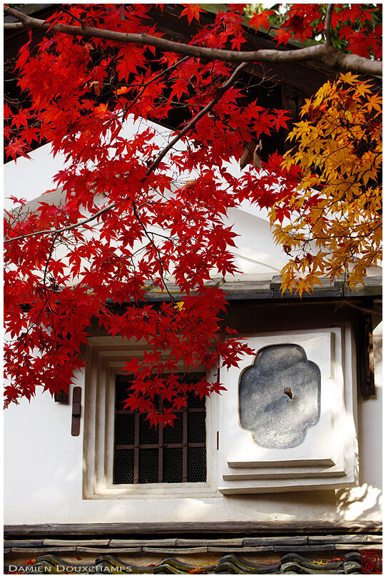 Kura store house and autumn colours in Shisendo temple, Kyoto, Japan