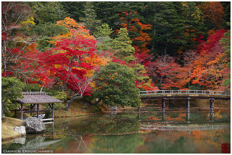 The pond of the upper Shugakuin villa garden in autumn with a little boat in its garage, Kyoto, Japan