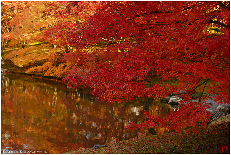 Kyoto Photography