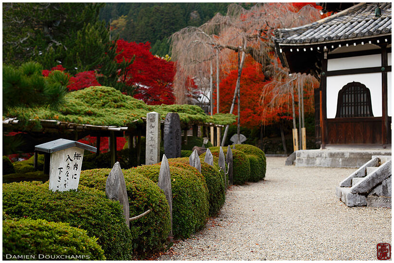 Yoshimine-dera temple grounds in autumn, Kyoto, Japan