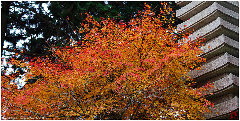 Stone pagoda and orange autumn colours, Yoshimine-dera temple, Kyoto, Japan
