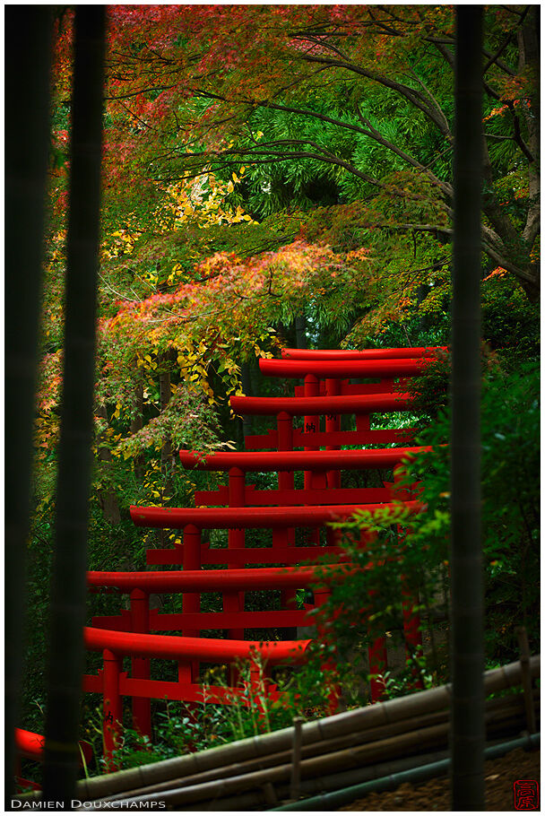 Chōhō-inari-jinja (長法稲荷神社)