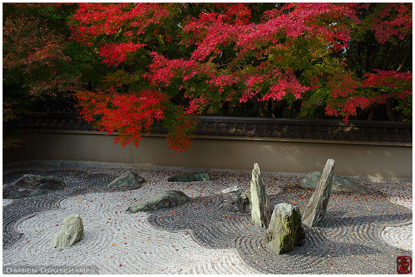 Red autumn foliage over modern rock garden by famous designer Shigemori Mirei, Ryogin-an temple, Kyoto, Japan