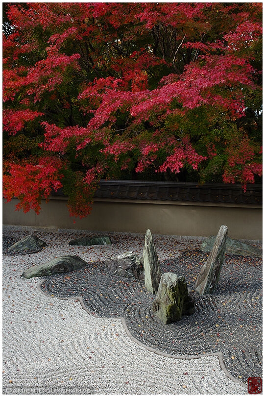 Autumn colours over rock garden depicting a dragon in the clouds, Kyoto, Japan