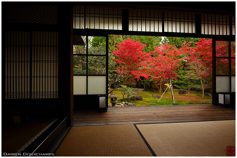Traditional room of SHorin-ji temple with view on moss garden and its red autumn foliage, Kyoto, Japan