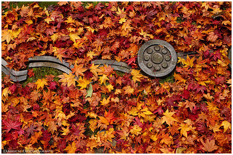 Roof tiles recycled as ornaments in the maple leaves covered garden of Koto-in temple, Kyoto, Japan
