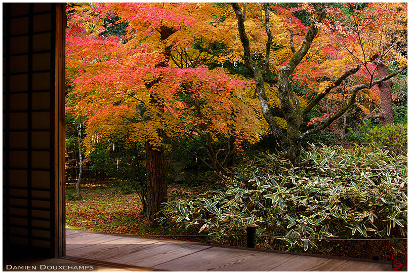 Koto-in temple zen garden in autumn, Kyoto