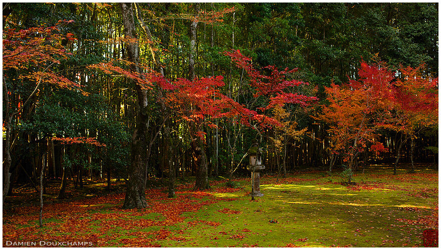 Koto-in temple zen garden in autumn, Kyoto