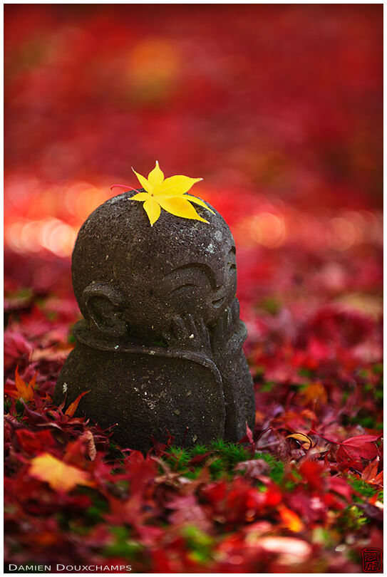 Red autumn colours around cutest jizo statue and his bright yellow maple leaf hat, Enko-ji temple, Kyoto, Japan