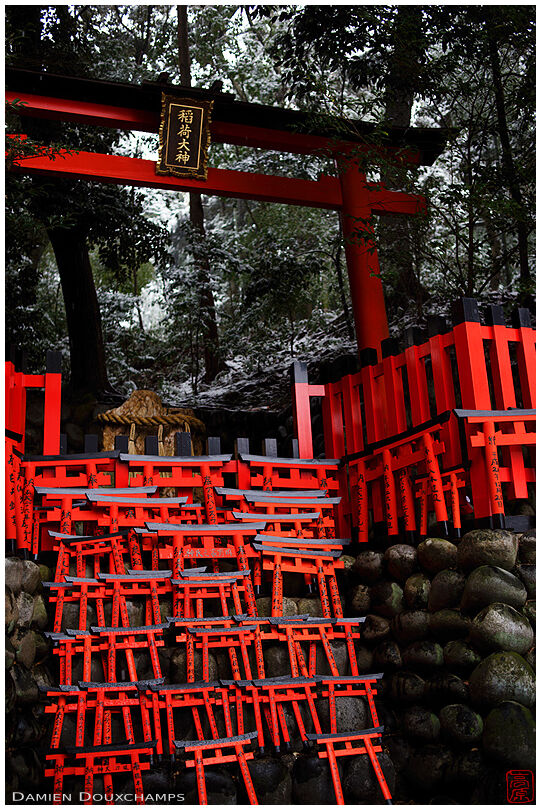 Torii votive offerings, Fushimi Inari shrine, Kyoto, Japan