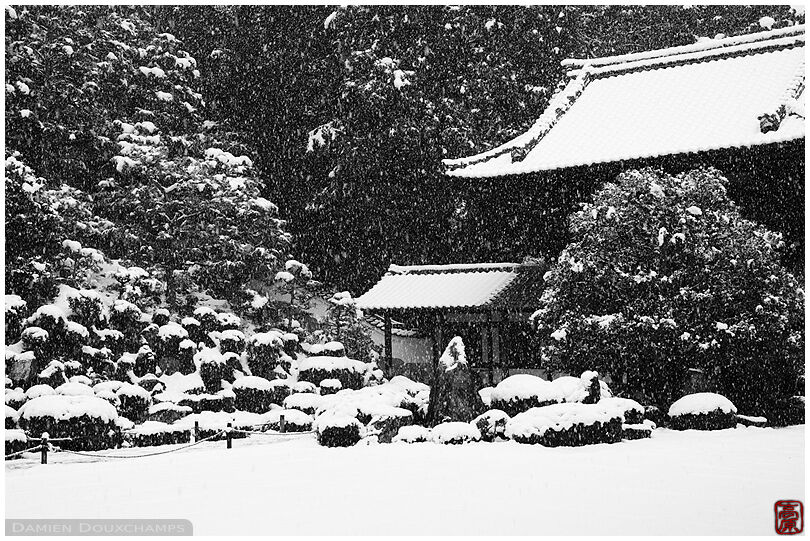 Heavy snow on the garden of Tofuku-ji temple founder hall, Kyoto, Japan