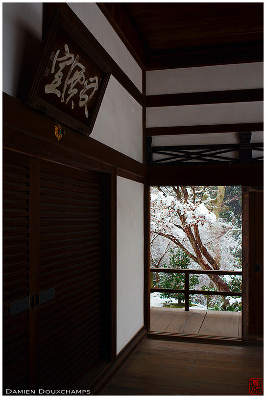 Window on winter forest in Tofuku-ji temple, Kyoto, Japan