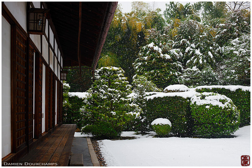 Snow-covered winter garden in Funda-in temple, Kyoto, Japan