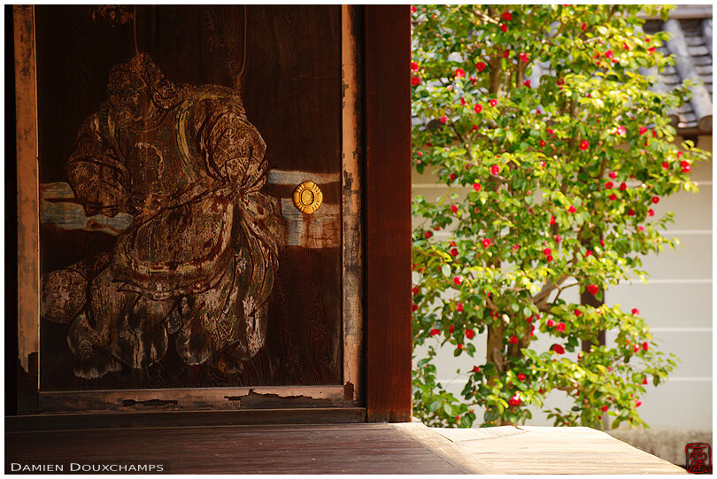 Old painted door and tsubaki tree, Ryosen-an temple, Kyoto, Japan