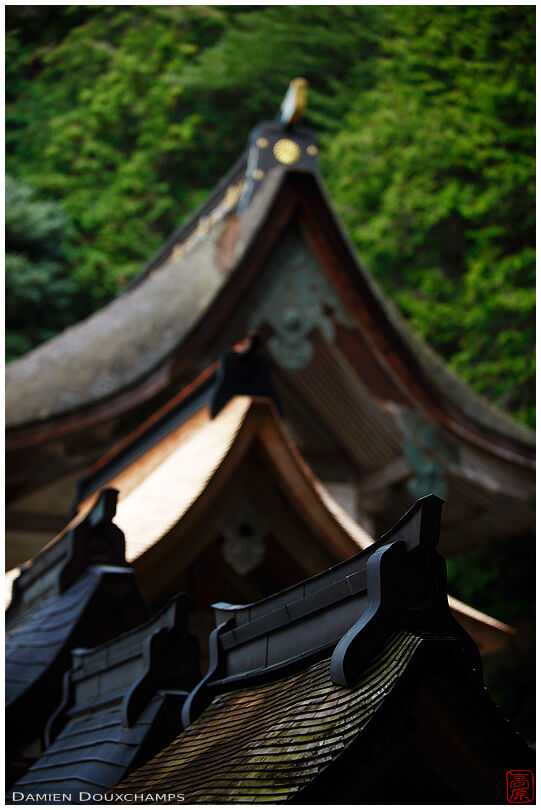 Shinto roof lines in Hiyoshi Taisha shrine, Shiga, Japan