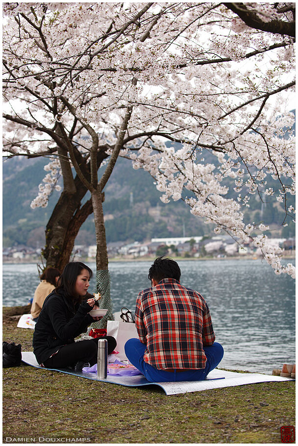 Hanami on Biwako lake, Japan