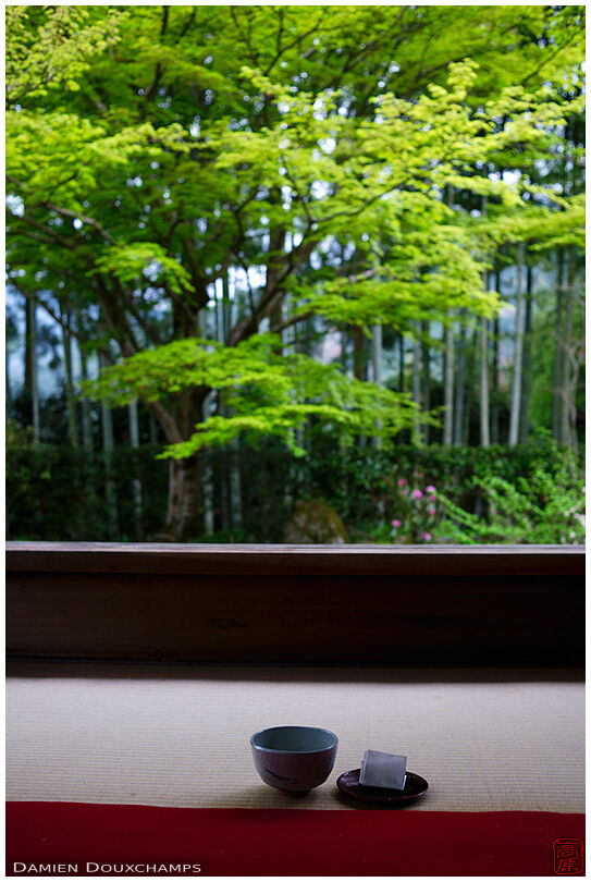 Green maccha tea and its associated sweet in Hosen-in temple, Kyoto, Japan