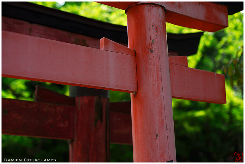 Old red torii gate, Anrakuju-in temple, Kyoto