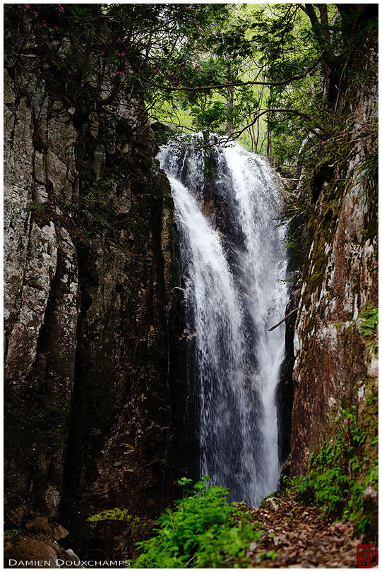 One of the waterfalls on the Yatsubuchi trail, Shiga, Japan