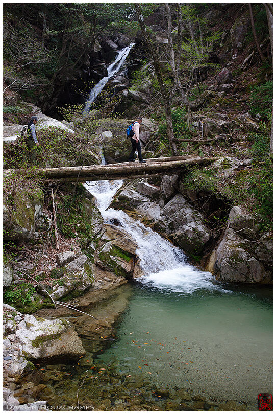 Hiker crossing waterfall on wooden bridge on the Yatsubuchi trail, Shiga, Japan