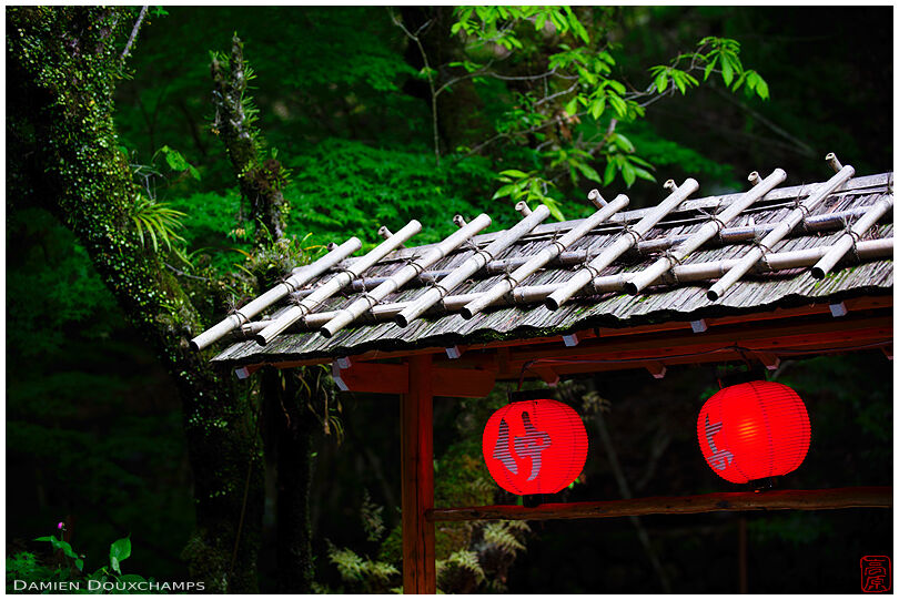 Red lanterns of an on-river restaurant in the narrow Kibune valley north of Kyoto, Japan