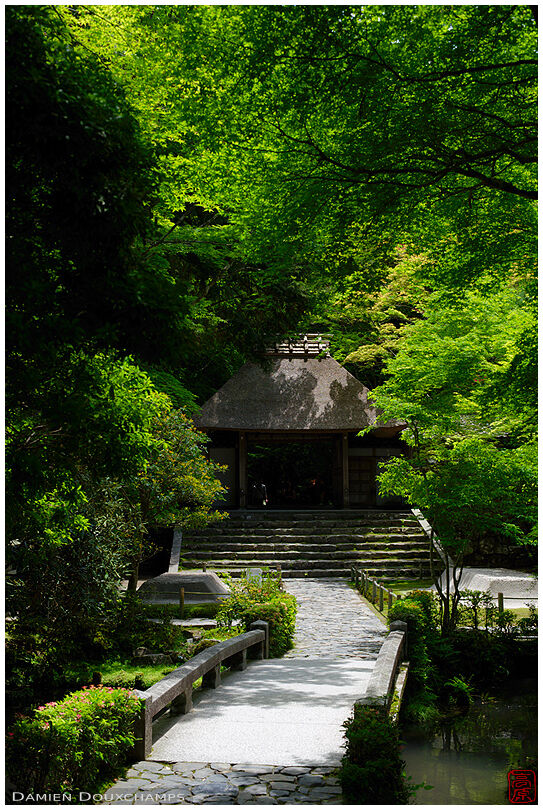 Thatched roof gate lost in lush green vegetation, Honen-in temple, Kyoto, Japan