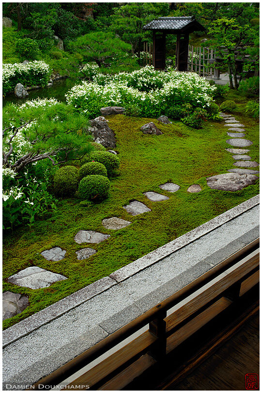Stepping stones leading to a gate in the garden of Ryosoku-in temple during hangesho blooming season, Kyoto, Japan