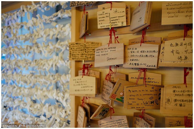 Ema tablets and discareded fortunes in Hozen-ji temple, Osaka, Japan