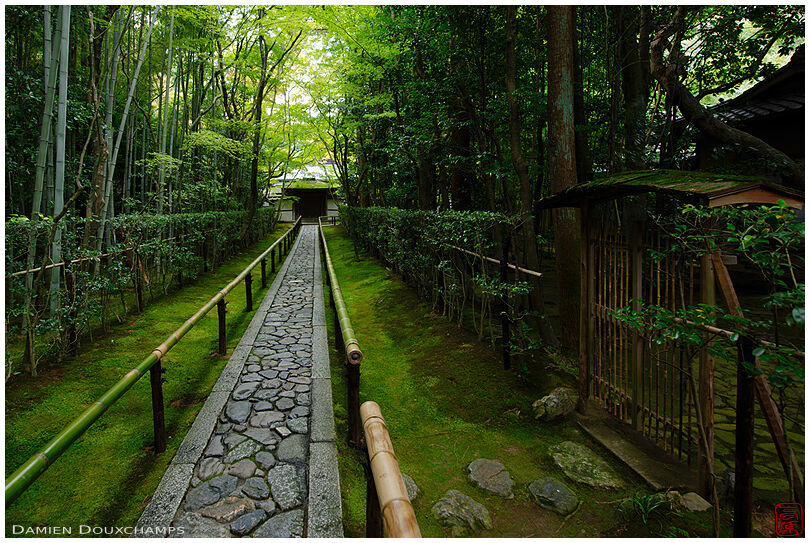 Koto-in temple narrow entrance path, Kyoto