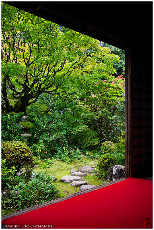 A view on Koto-in temple garden, Kyoto