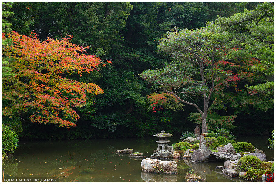 Lone lantern in Chion-in pond garden, Kyoto, Japan