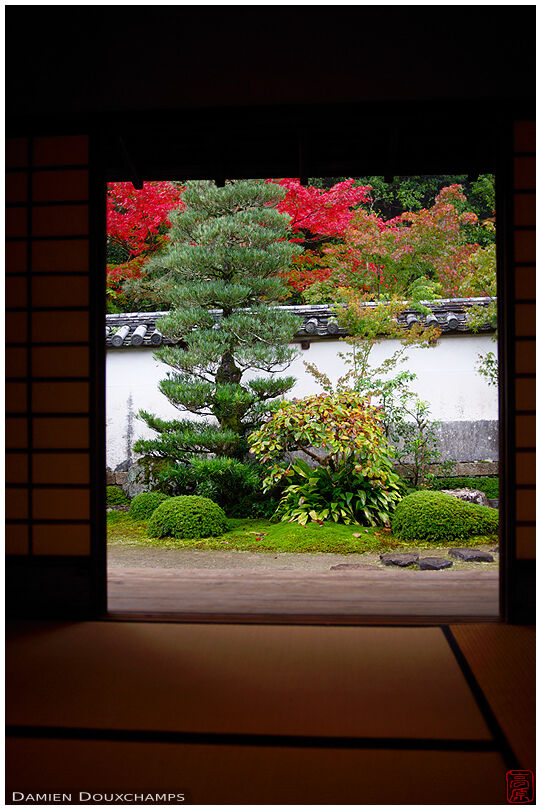 Autumn garden scenery and tatami room in Shuon-an temple, Kyoto, Japan