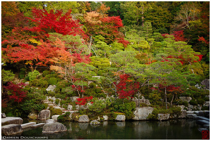 Autumn colours around the pond of Hyakusai-ji temple, Shiga, Japan