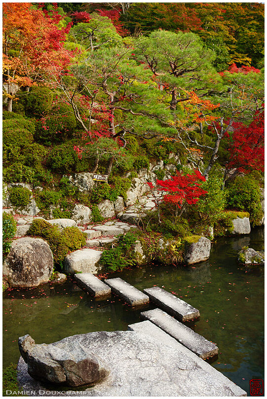 Narrow stone path crossing pond during autumn in Hyakusai-ji temple, Shiga, Japan