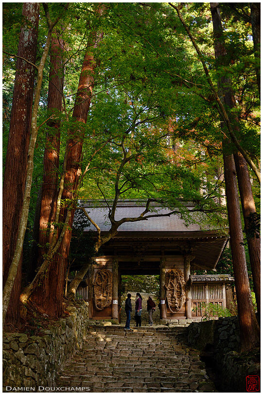 Hyakusai-ji temple gate in the forest, Shiga, Japan