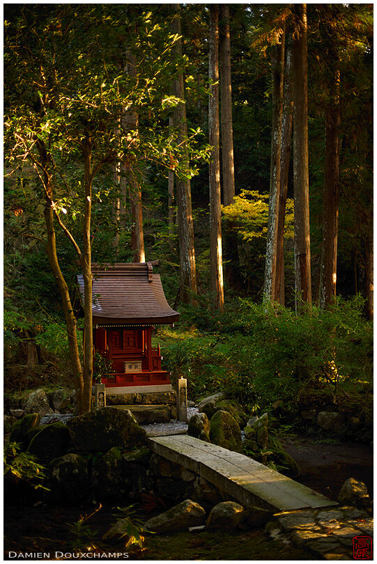 Stone bridge leading to small island with shrine in the forest of Hyakusai-ji temple, Shiga, Japan