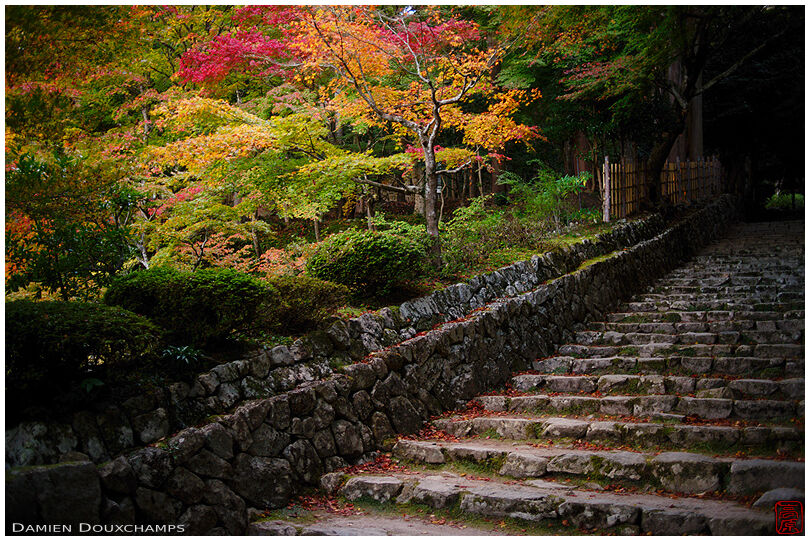 Autumn colors around the main stairs of Hyakusai-ji temple, Shiga, Japan