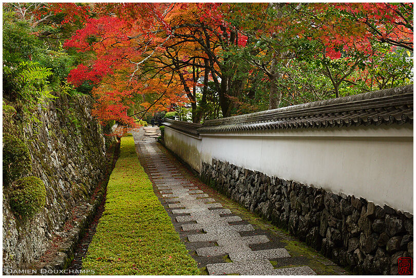 Path between two falls passing under autumn foliage, Yoshimine temple, Kyoto, Japan