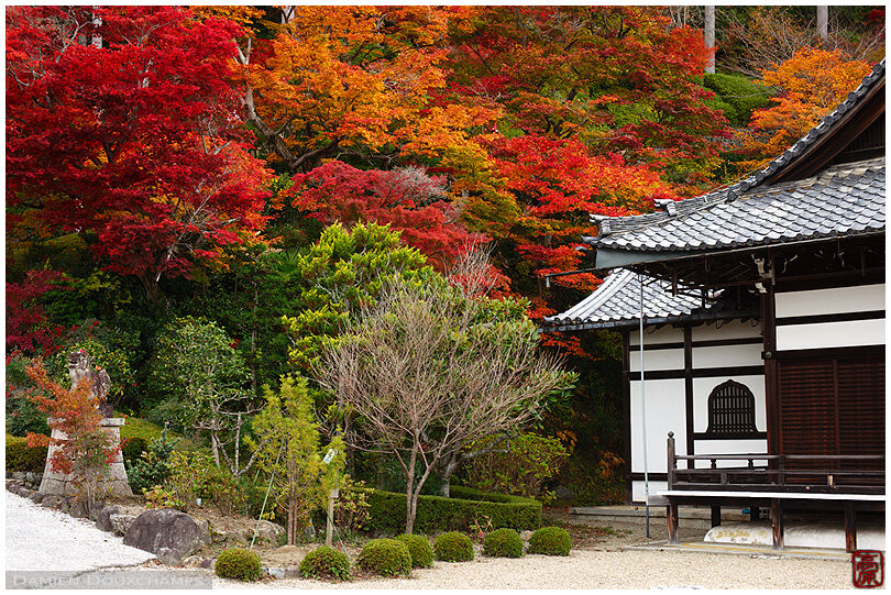 Autumn colours around temple hall with bell-shaped window, Yoshimine-dera, Kyoto, Japan