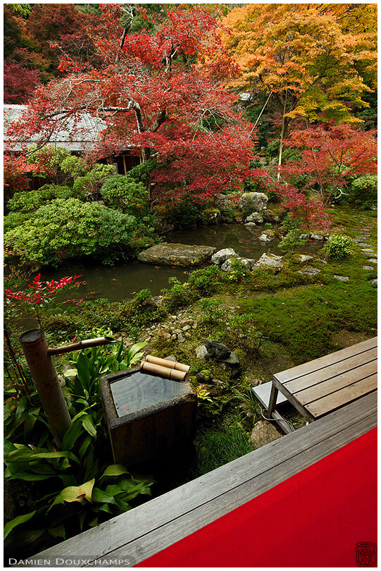 Square tsukubai water basin on edge of autumnal garden in Jisso-in temple, Kyoto, Japan