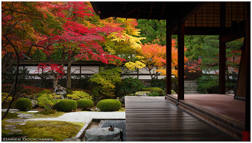 Varied autumn colours in the garden of Sennyu-ji temple, Kyoto, Japan