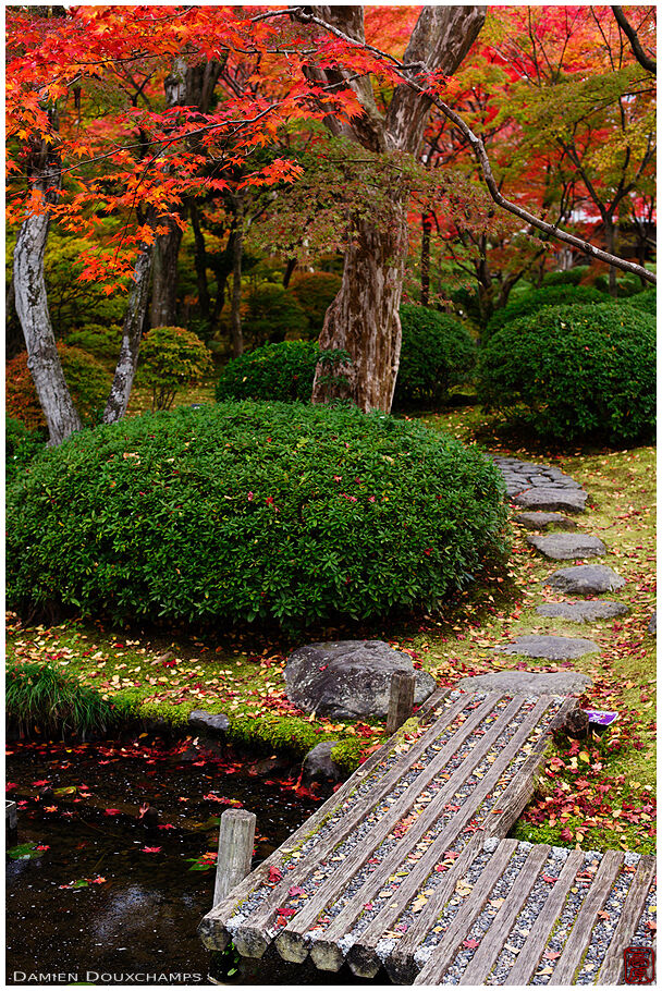 Path covered with fallen leaves in the private garden of Kachu-an, Kyoto, Japan