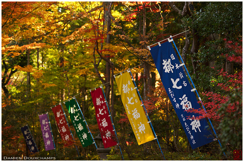 Row of colorful flags in autumnal forest, Sekisanzen-in temple, Kyoto, Japan