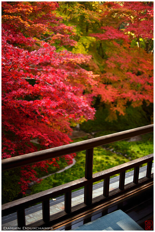 Balcony overlooking autumn colours, Ruriko-in temple, Kyoto, Japan