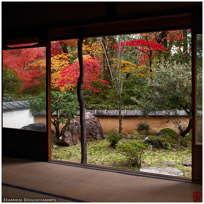 Touches of autumn colours from a tea room of Shodensan-so, Kyoto, Japan