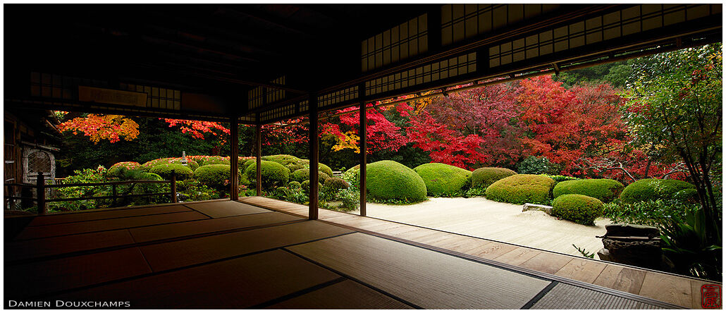Perfect autumn colours and zen atmosphere in Shisen-do temple, Kyoto, Japan