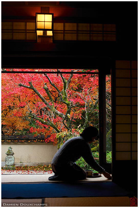 Serving tea in autumn, Nobotoke-an temple, Kyoto, Japan