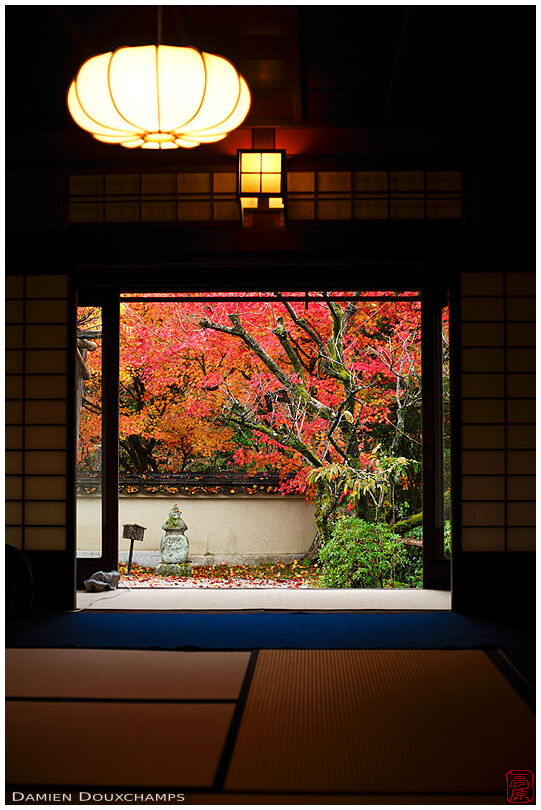 Dark room with view on brightly coloured autumn garden, Nobotoke-an temple, Kyoto, Japan