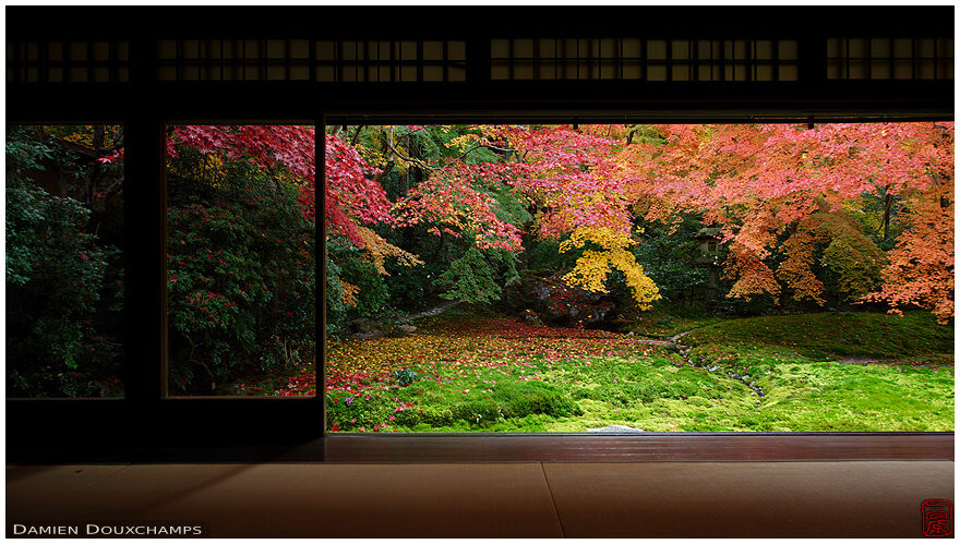Large bay window with view on moss garden and autumn foliage, Ruriko-in temple, Kyoto, Japan